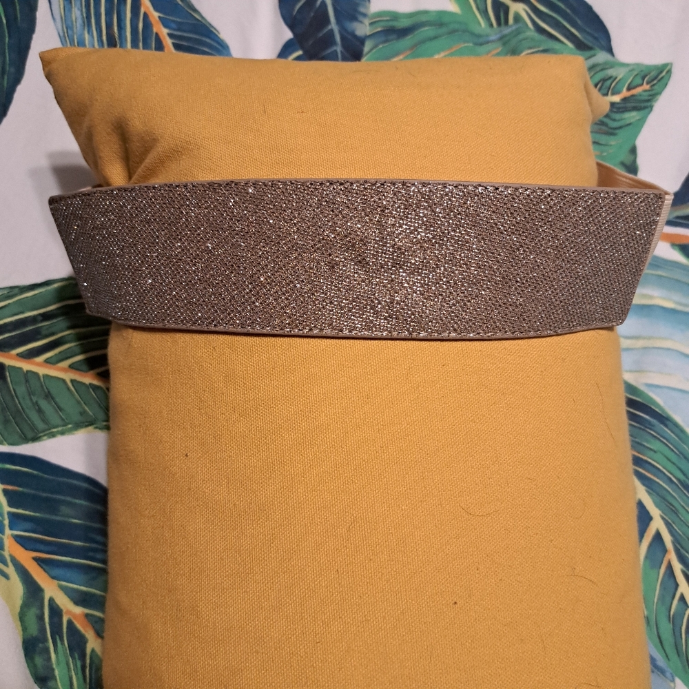 Express Gold Wide Belt, Size M/L